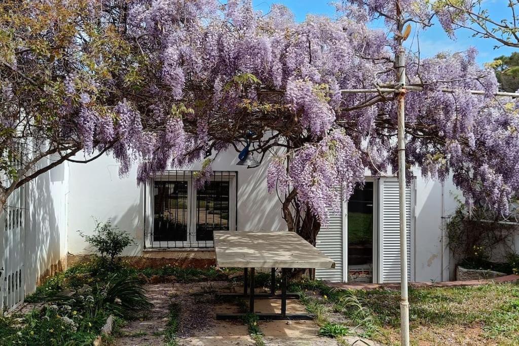Summer Villa In Pórto Ráfti Dış mekan fotoğraf