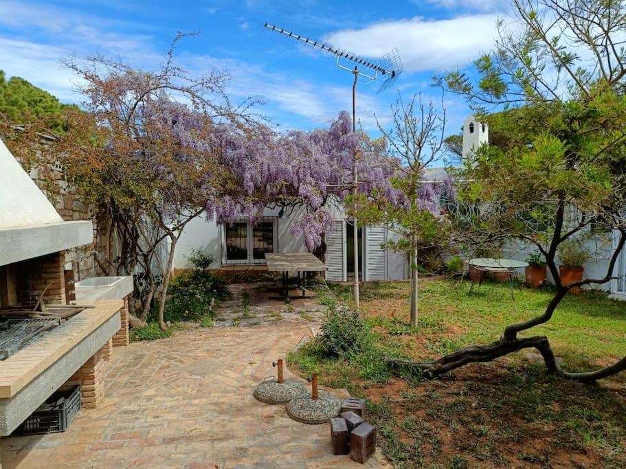 Summer Villa In Pórto Ráfti Dış mekan fotoğraf